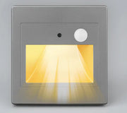 Indoor Wall LED Light with Motion Sensor